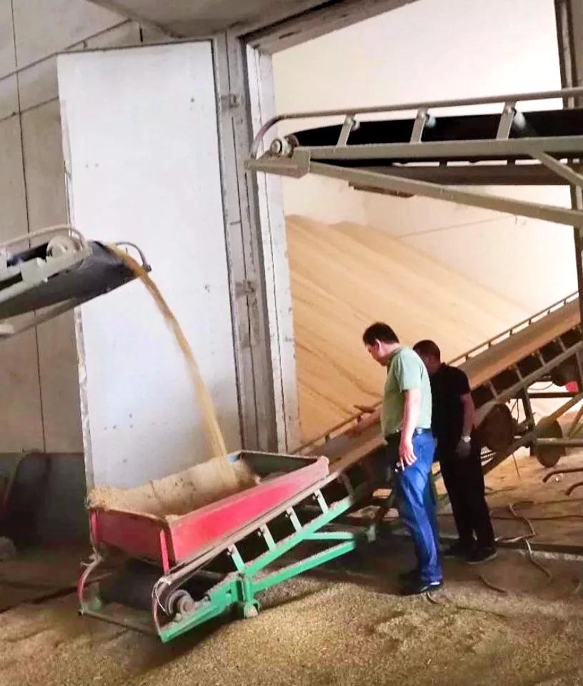 保證糧食收購任務 保障國家糧食安全 隨后，謝四清一行還對入庫流程和倉儲現場進行了檢查